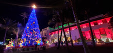 Load image into Gallery viewer, Wild Holiday Lights Trolley Ride - Wednesday 12/21/22
